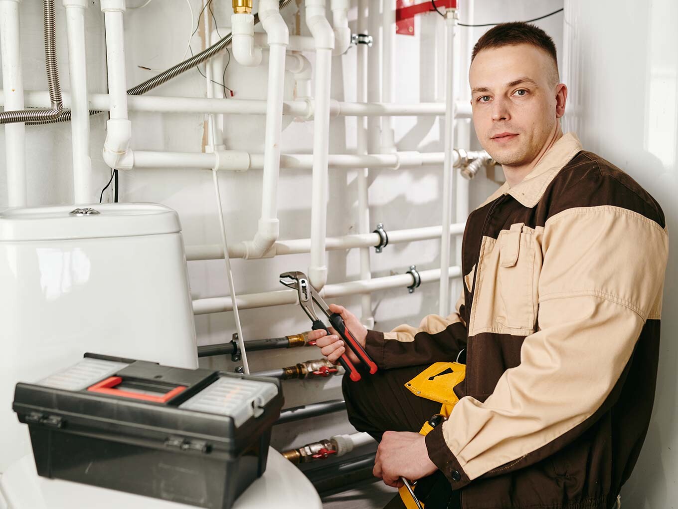 Praca Technika Holandia