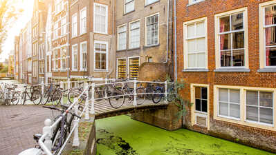 Ce înseamnă SNF și de ce contează la cazare